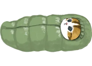 ⛺️ gato, saco de dormir, animal, fofo, aconchegante telegram sticker