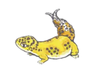 😡 Tier, Reptil, Gecko, Leopardgecko, Gelb, Gepunktet telegram sticker