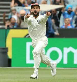 ❤️ Virat Kohli cricket, athlete, sports, celebration, india, Kohli telegram sticker
