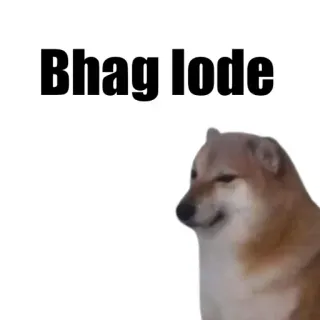 🎭 Bhag lode 개, 밈, 불쾌한 telegram sticker