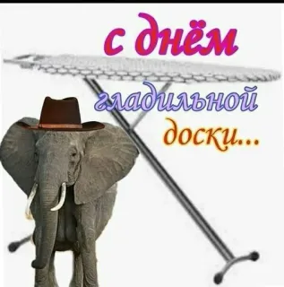 🐽 с днём гладильной доски... elephant, ironing board, hat, greeting telegram sticker