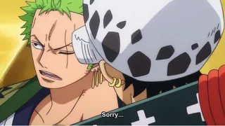 💛 Zoro One Piece Sorry... anime, one piece, roronoa zoro, zoro telegram sticker