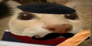 🇫🇷 Katze, Baskenmütze, Baguette, Schnurrbart, Französisch, Meme telegram sticker