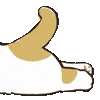 🐱