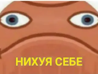 🤔 НИХУЯ СЕБЕ Meme, Drôle, Russe, Choqué, Surpris telegram sticker
