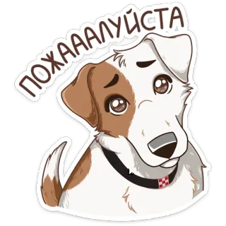 🥺 ПОЖАААЛУЙСТА หมา, น่ารัก, การ์ตูน, อ้อนวอน, ลูกหมา telegram sticker