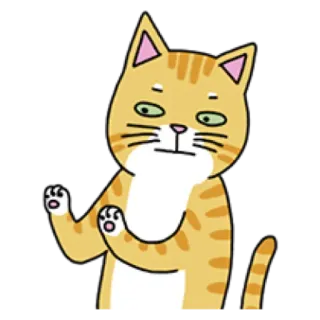 🐈 cat, animal, orange, expression, cartoon, funny telegram sticker