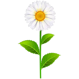 🌷 ромашка, цветок, природа, растение, цветочный telegram sticker