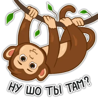 Обезьянка Олег @monkeywannabrainy telegram stickers