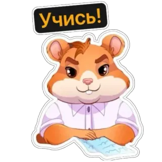 🤓 Учись! hamster, study, learn, student, cartoon, cute, animal telegram sticker