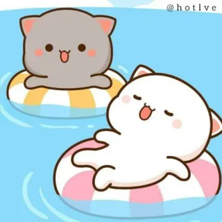 😂 @hotlve cats, swimming, cute, animals, kawaii, relaxing, cartoon telegram sticker