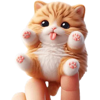 😛 kot, kotek, słodki, zwierzę, zwierzak, uroczy, śmieszny telegram sticker