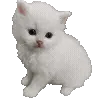 gray ➜ @emoji1 telegram emojis 🐈