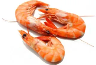 🍗 camarón, comida, mariscos, camarones cocidos, gambas telegram sticker