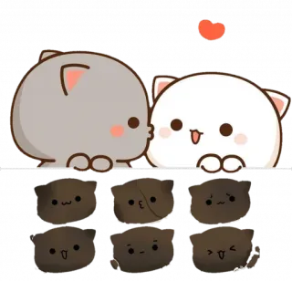 👫 猫, 可愛い, 動物, かわいい, 桃, モッチ, キス, 愛 whatsapp sticker