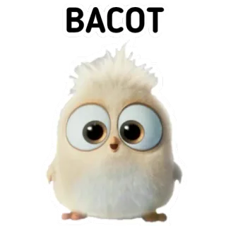 🙃 BACOT pájaro, lindo, pegatina, divertido telegram sticker
