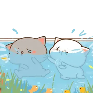 🏊‍♂ cats, swimming, cute, water, animals whatsapp sticker