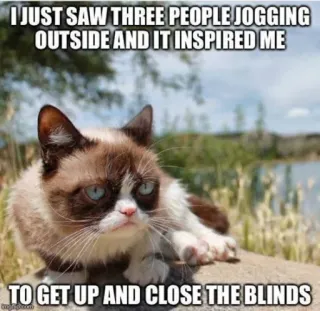 😑 Grumpy Cat I JUST SAW THREE PEOPLE JOGGING OUTSIDE AND IT INSPIRED ME TO GET UP AND CLOSE THE BLINDS 猫, 脾气暴躁, 表情包, 搞笑, 慢跑, 百叶窗, 幽默 whatsapp sticker