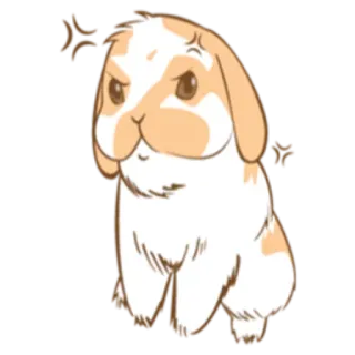 😡 kelinci, marah, kartun, binatang, lucu, bunny whatsapp sticker