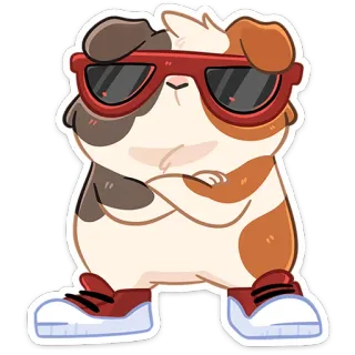 😎 Conejillo de indias, Dibujo animado, Animal, Guay, Gafas de sol, Lindo, Mascota telegram sticker