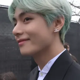 🕸 V V, BTS, K-pop, Айдол, Певец, Знаменитость, Серьга, зеленые волосы telegram sticker