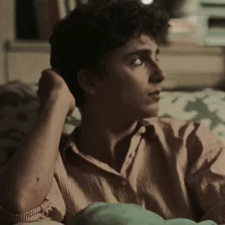 🍂 Timothée Chalamet diễn viên, chân dung, người đàn ông, người nổi tiếng telegram sticker