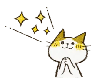 ✨ kot, słodki, brokat, zwierzę, szczęśliwy, prośba, kawaii telegram sticker
