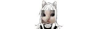 🌟 anime girl, cat face, meme, sticker whatsapp sticker