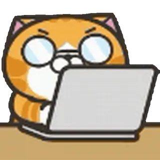 💻