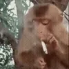 🚬