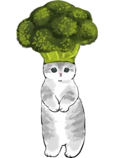 🥦 gato, brócolis, animal, comida, fofo, legume telegram sticker