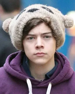 😆 Harry Styles Harry Styles, singer, celebrity, hat, portrait telegram sticker