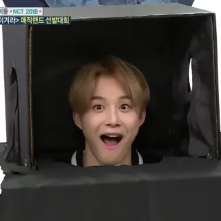 😺 NCT 2018 kpop, nct, idol, musica, intrattenimento telegram sticker