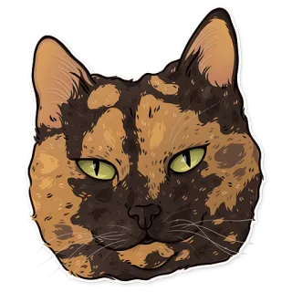 🤨 gatto, animale, animale domestico, gatto tartarugato, animale domestico, felino telegram sticker