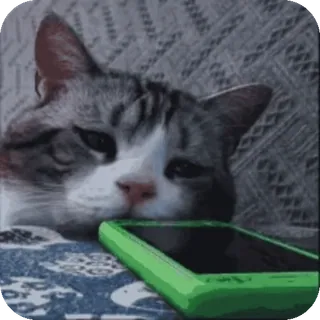 ☹️ cat whatsapp sticker