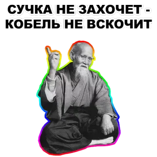 ☝ СУЧКА НЕ ЗАХОЧЕТ - КОБЕЛЬ НЕ ВСКОЧИТ text, russian, offensive telegram sticker