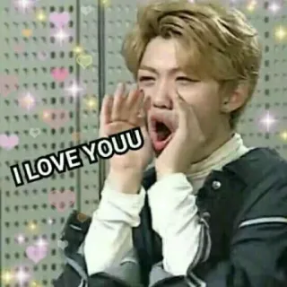 ❤️ I LOVE YOUUU Liebe, Kpop, Nachricht, Ausdruck, Fan telegram sticker