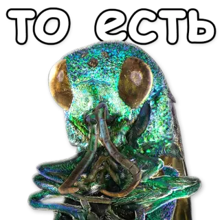 🙅 то есть insect, bug, beetle, jewel beetle telegram sticker