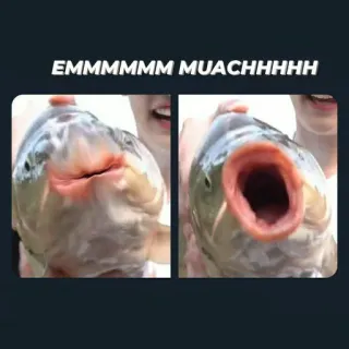 😝 EMMMMMM MUACHHHHH telegram sticker