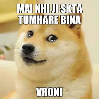 🥺 MAI NHI JI SKTA
TUMHARE BINA
VRONI 狗, 表情包, 情感, 可爱, 宠物 telegram sticker