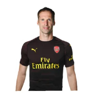 🇨🇿 sports, soccer, athlete, arsenal, goalkeeper telegram sticker