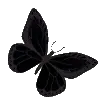 🦋