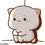 🙂 kucing, hewan, imut, memohon, kawaii, mengemis whatsapp sticker