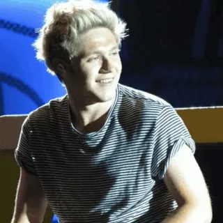 ✨ Niall Horan ไนออล ฮอแรน, วันไดเรกชัน, นักร้อง, นักดนตรี, คนดัง, ภาพเหมือน telegram sticker