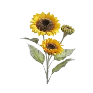 🌻 해바라기, 꽃, 식물, 자연, 노란색 telegram sticker