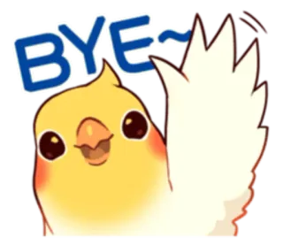 👋 BYE~ นก, นกแก้ว, บาย, ลาก่อน, น่ารัก, สัตว์, การ์ตูน telegram sticker