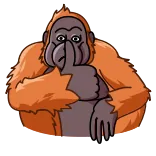 👍 Orangutan, Jari tengah, Ofensif, Kera, Kartun, Binatang whatsapp sticker