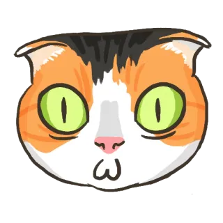 😳 gato, animal, animal de estimação, adesivo, fofo, desenho animado telegram sticker