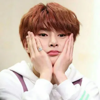 🐰 whatsapp sticker