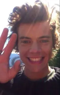 😬 Harry Styles person, singer, celebrity, waving, male, portrait telegram sticker
